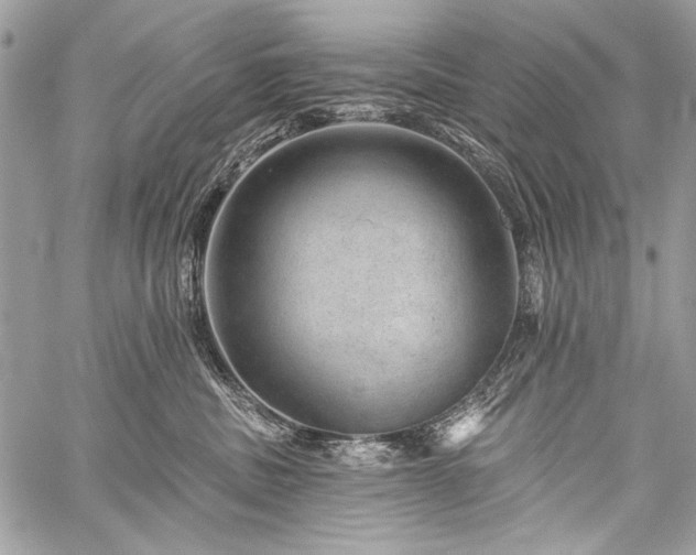 X0000059240379200510171438