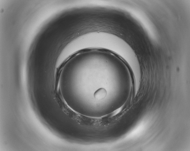 X0000059240383200510171438