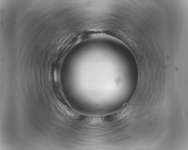 X0000059240384200510171438