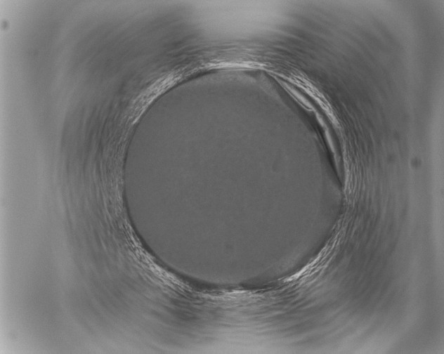 X0000059240385200510171437