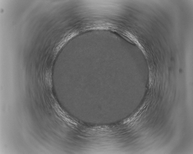 X0000059240386200510171437