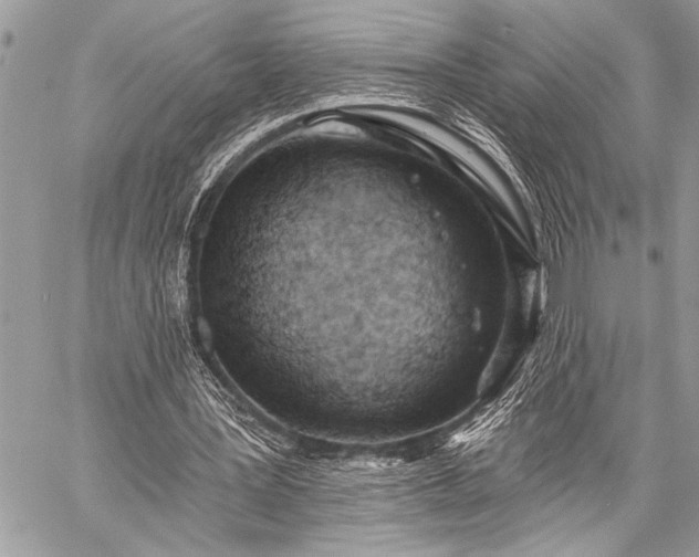 X0000059240387200510171437