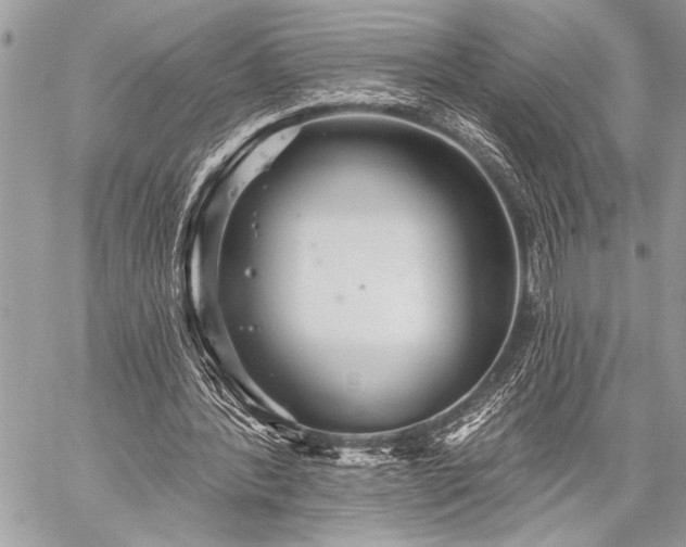 X0000059240388200510171437