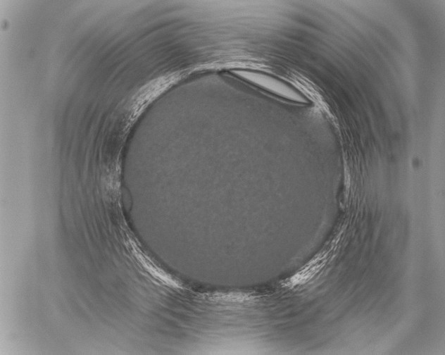 X0000059240389200510171437