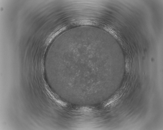 X0000059240390200510171437