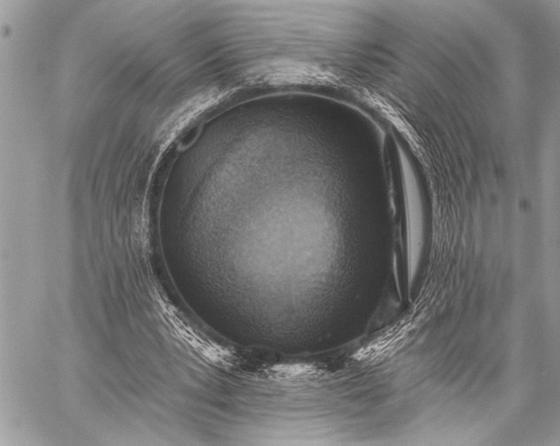 X0000059240391200510171437