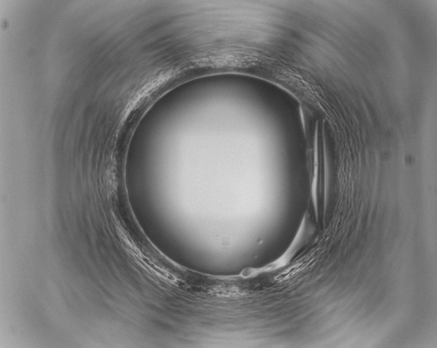 X0000059240392200510171437