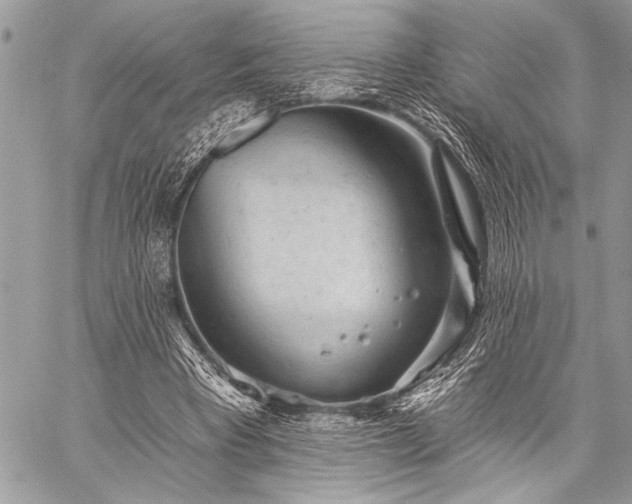 X0000059240393200510171437