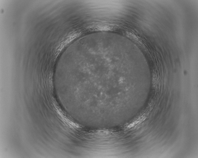 X0000059240394200510171437