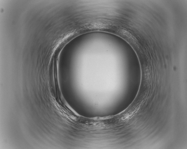 X0000059240395200510171437