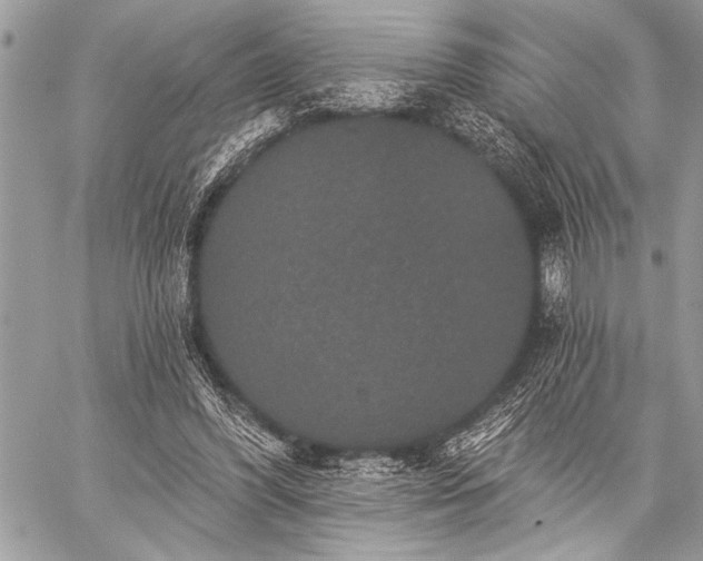 X0000059240396200510171437