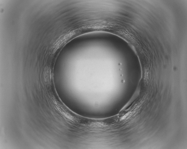 X0000059240397200510171437