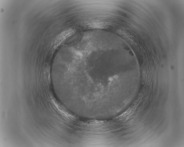 X0000059240398200510171437