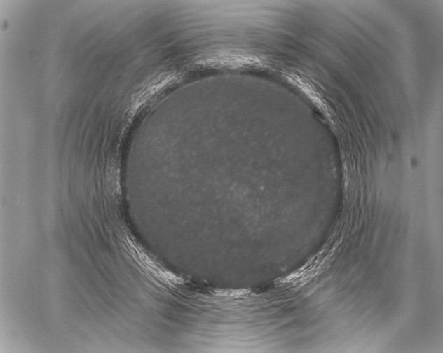 X0000059240399200510171437