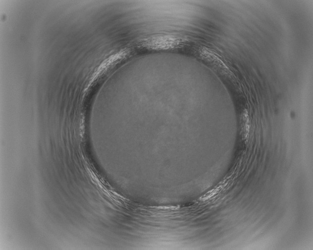 X0000059240400200510171437