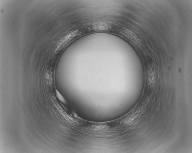 X0000059240401200510171437