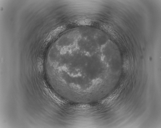 X0000059240402200510171437