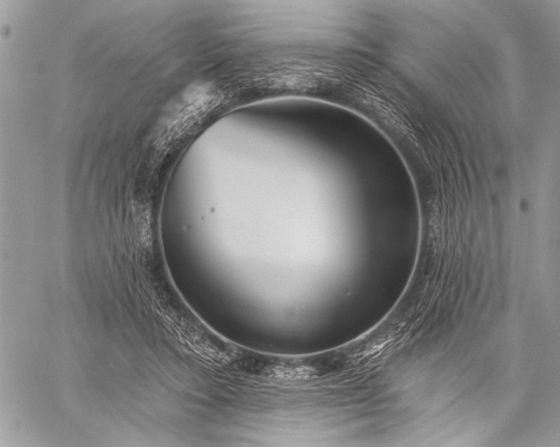 X0000059240403200510171437