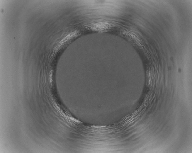 X0000059240404200510171436