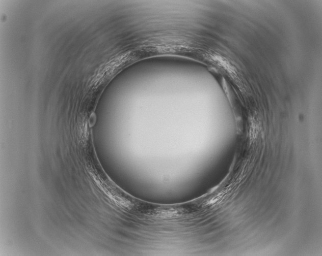 X0000059240405200510171436