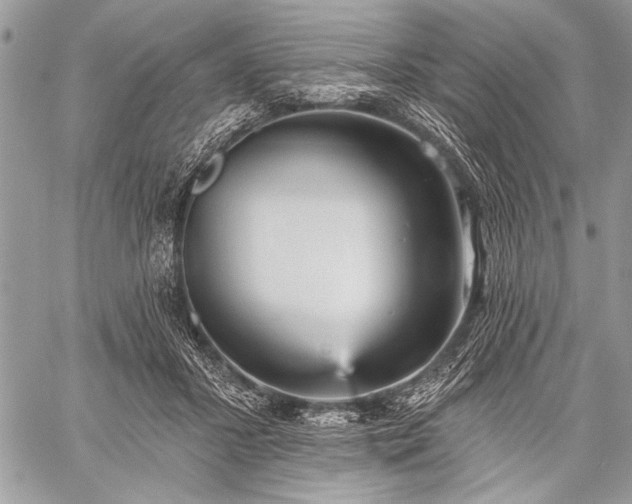 X0000059240407200510171436