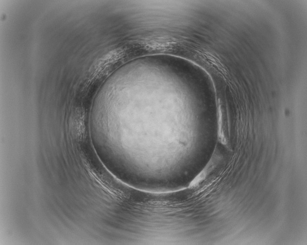 X0000059240408200510171436