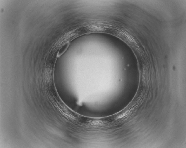 X0000059240409200510171436