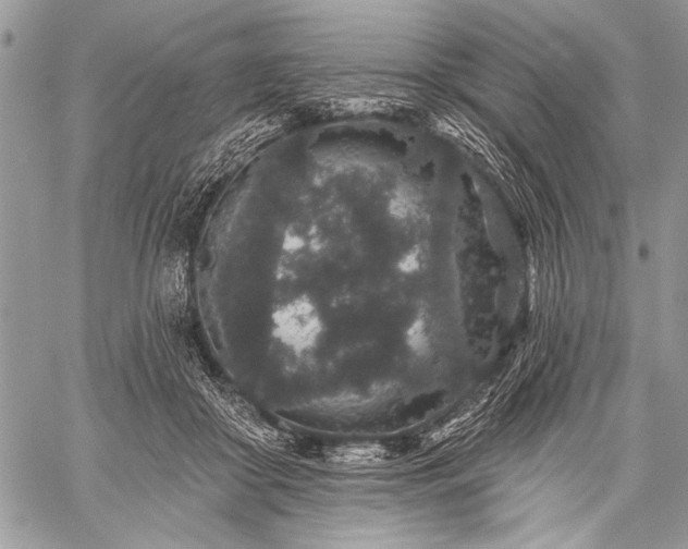 X0000059240410200510171436