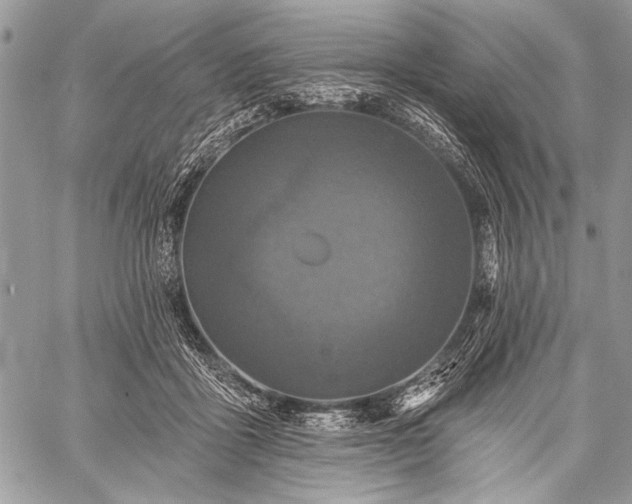 X0000059240411200510171436