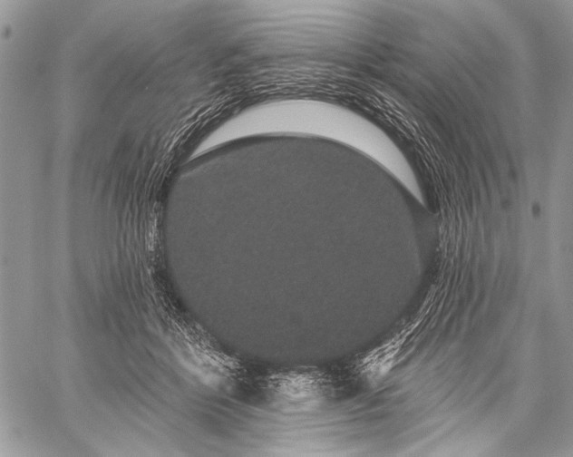 X0000059240412200510171436