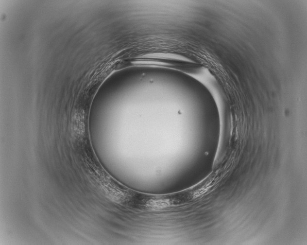 X0000059240413200510171436