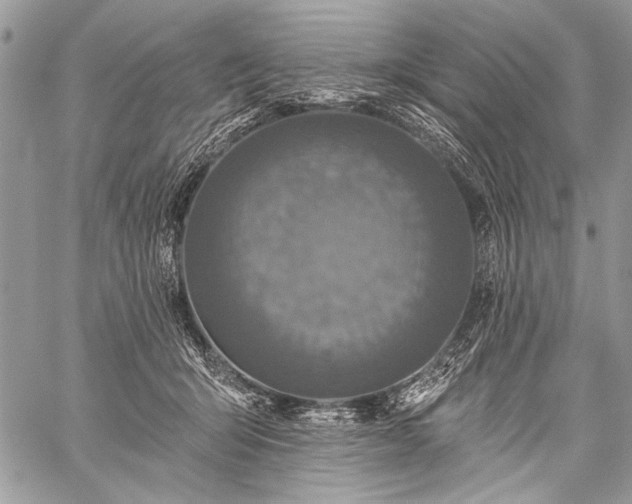 X0000059240415200510171436