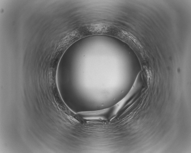 X0000059240416200510171436