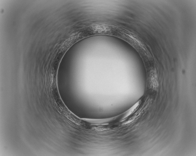 X0000059240417200510171436