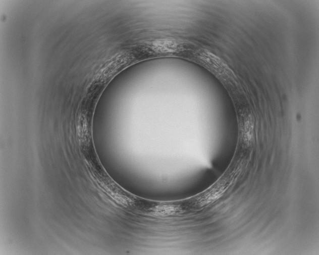 X0000059240418200510171436