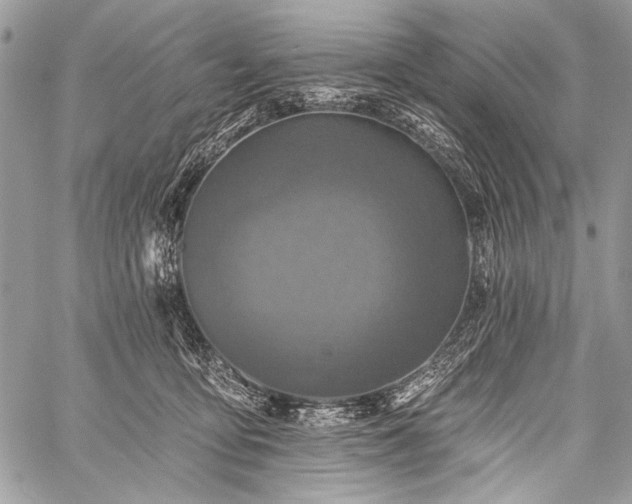 X0000059240419200510171436