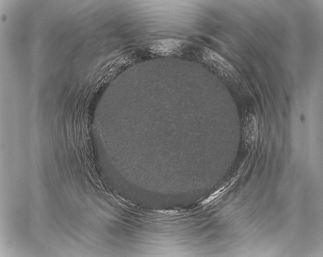 X0000059240420200510171436