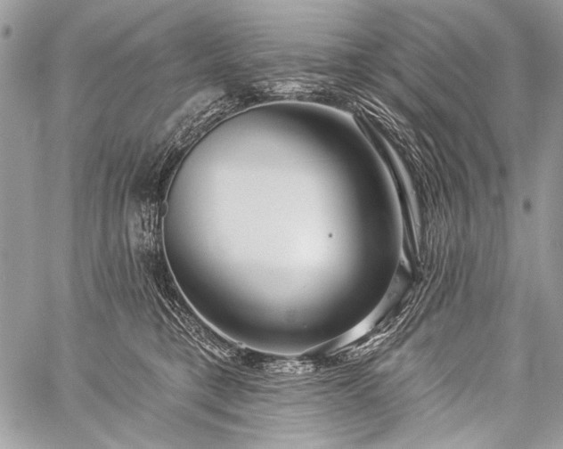 X0000059240421200510171436