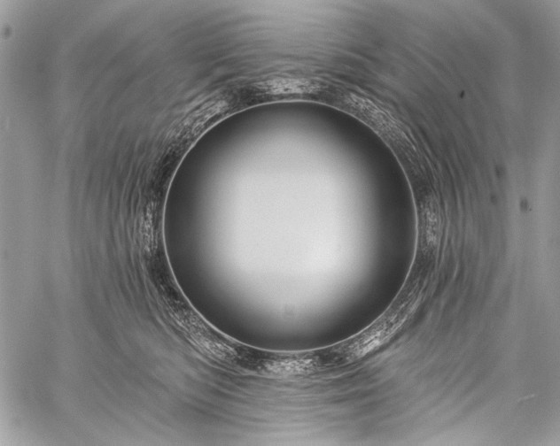 X0000059240422200510171436