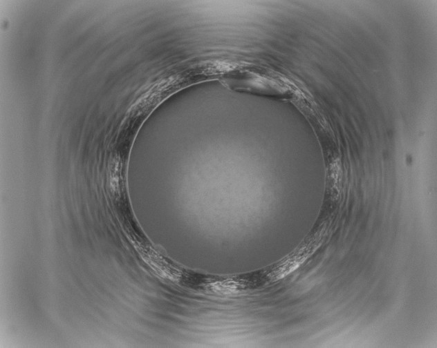 X0000059240423200510171436