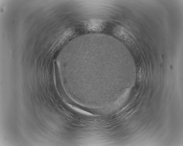 X0000059240424200510171436