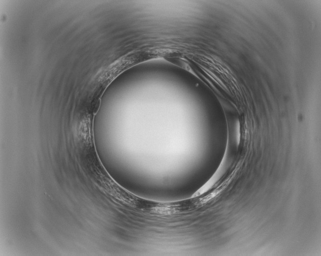 X0000059240425200510171436