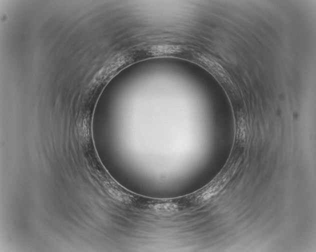 X0000059240426200510171436