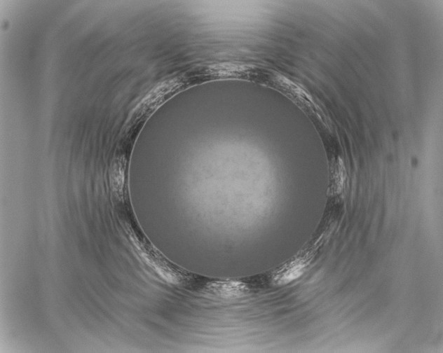 X0000059240427200510171436