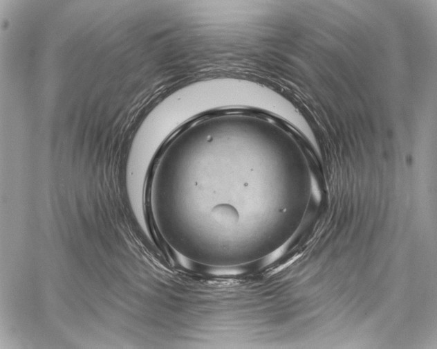 X0000059240428200510171436