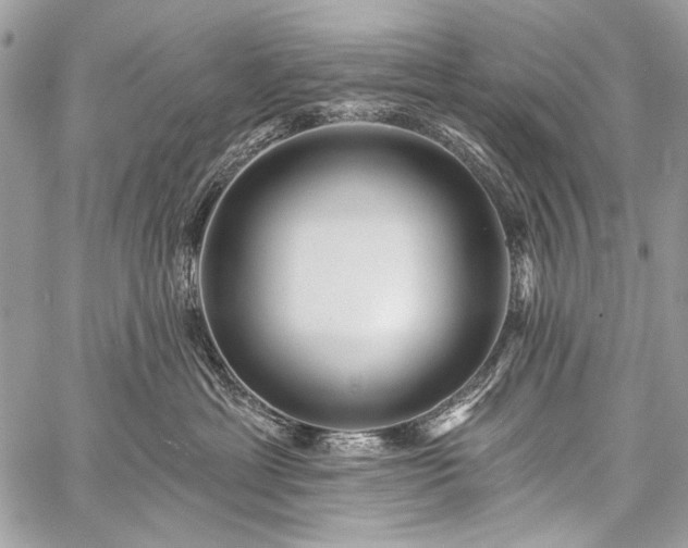 X0000059240429200510171436