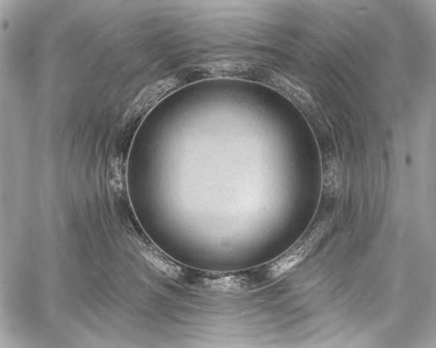 X0000059240430200510171436