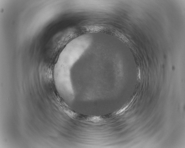 X0000059240431200510171436