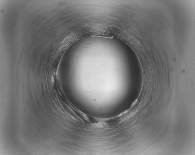 X0000059240432200510171436