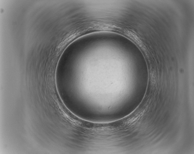 X0000059240433200510171435